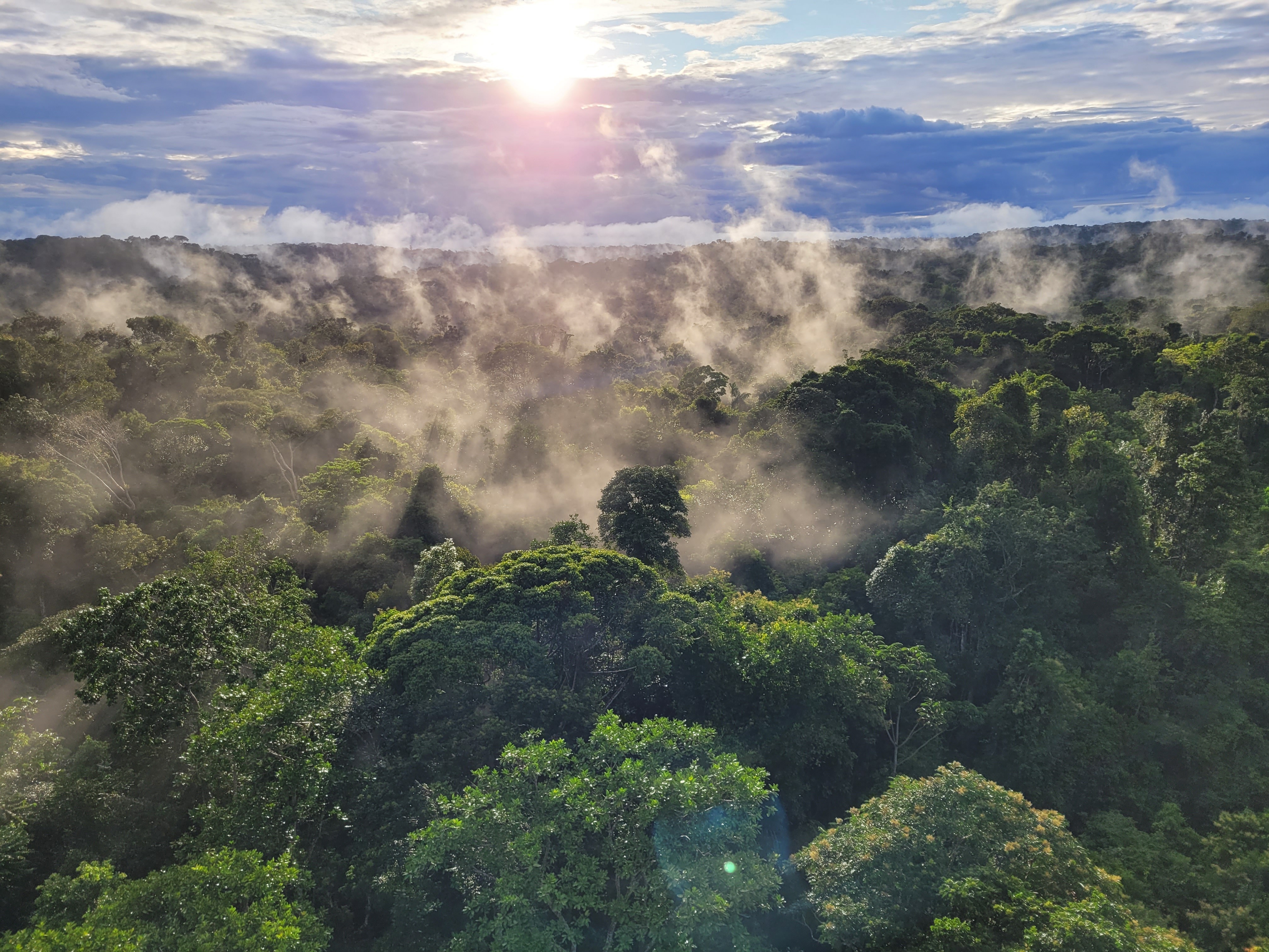 Senado deve votar nesta terça regras para mercado de carbono no Brasil