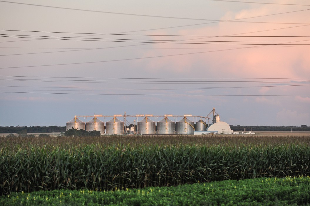 Falta de silos para armazenar grãos traz prejuízo ao agronegócio