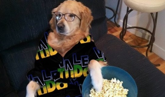 'Vale tudo': Veja os memes que circulam nas redes último dia de novela