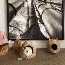 Detail of the entrance to the house – photo: reproduction