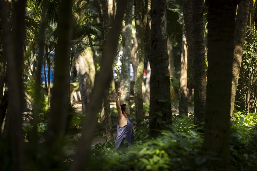 Prática criada no Japão, 'banho de floresta' ganha adeptos no Brasil e pode  entrar no SUS