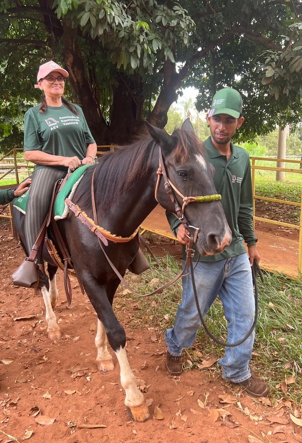 Criados a pão-de-ló: cavalos usados para equoterapia em fazenda recebem ...