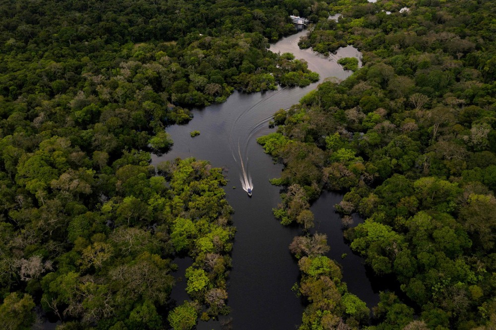 Trecho da Floresta Amazônica no município de Carauari (AM) — Foto: Florence Goisnard/AFP/15-03-2020