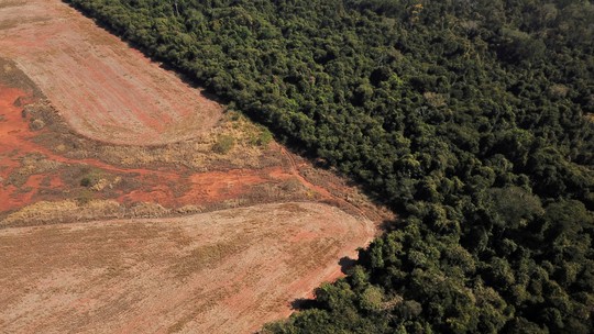 Desmatamento na Amazônia tem menor marca em 4 anos enquanto, no Cerrado, bate recorde