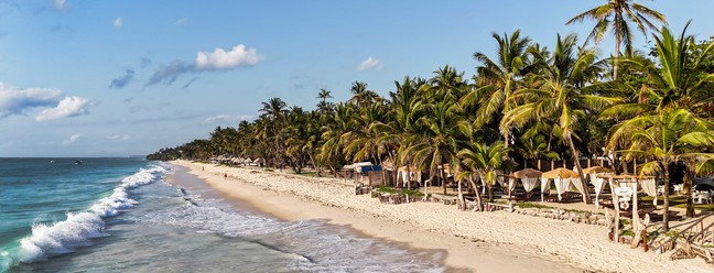 Cinco aldeias quenianas e uma floresta estão no centro da disputa global sobre terras-raras — Foto: Tony Karumba/AFP