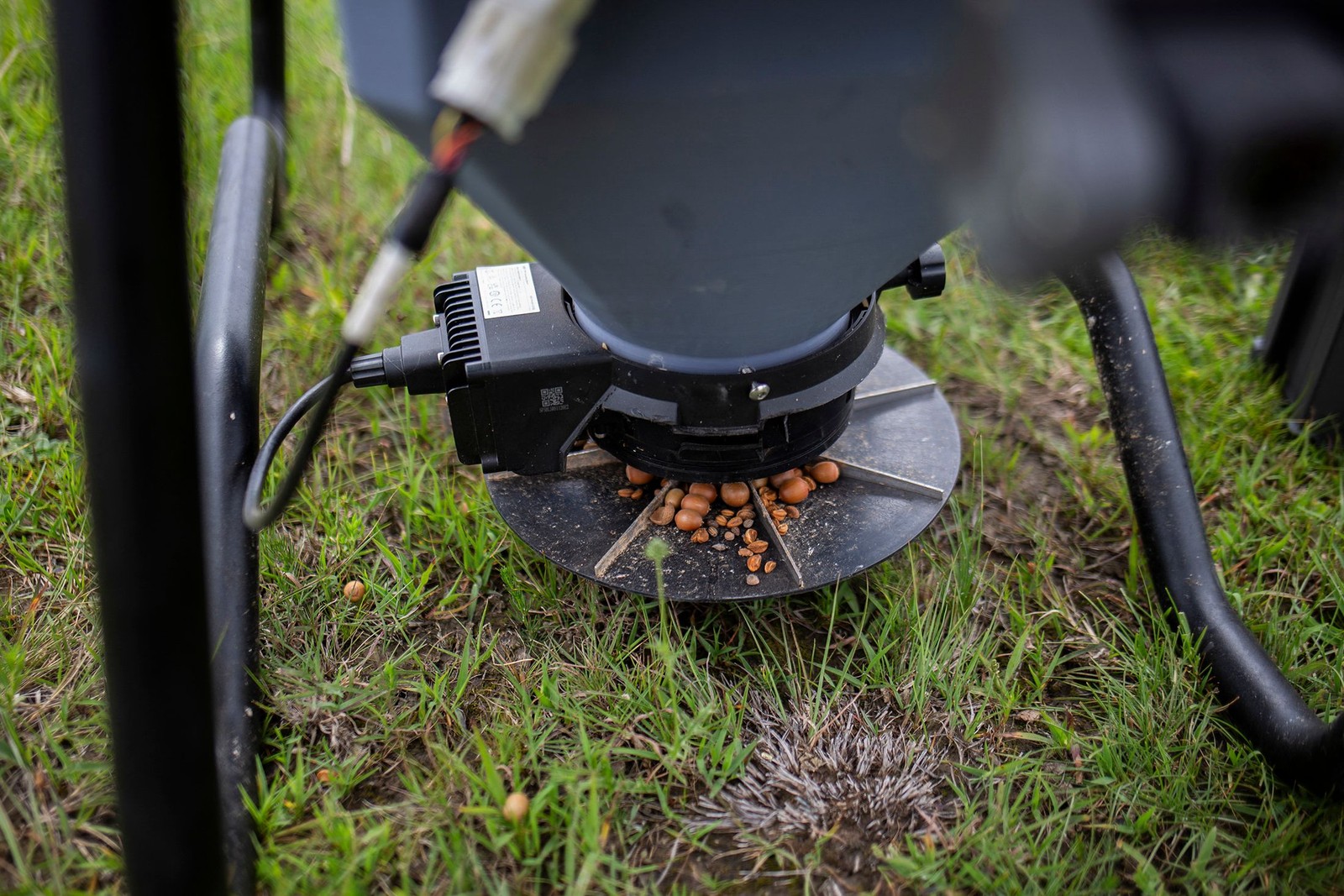 Michoacán, um estado um pouco maior que a Costa Rica, é uma das regiões com maior prevalência de incêndios florestais no país — Foto: Enrique Castro/AFP