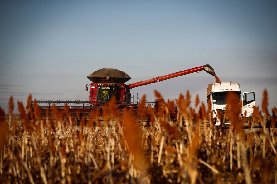 Agropecuária foi destaque na divulgação do PIB no primeiro trimestre de 2023