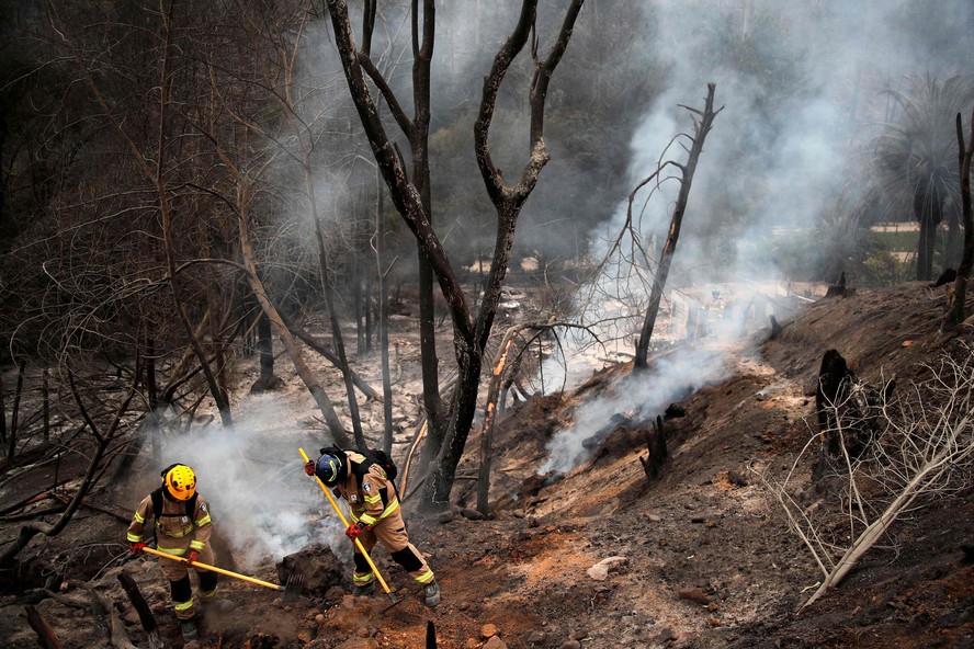 Maior jardim botânico do Chile é devastado por incêndios florestais ...