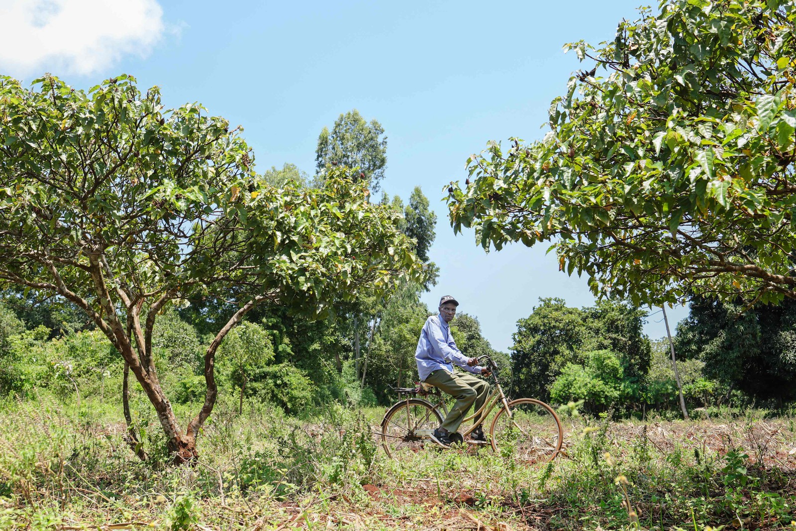 Mrima Hill, a 157-hectare forested hill near the Kenyan coast in the Indian Ocean, has also attracted interest — Photo: Tony Karumba/AFP