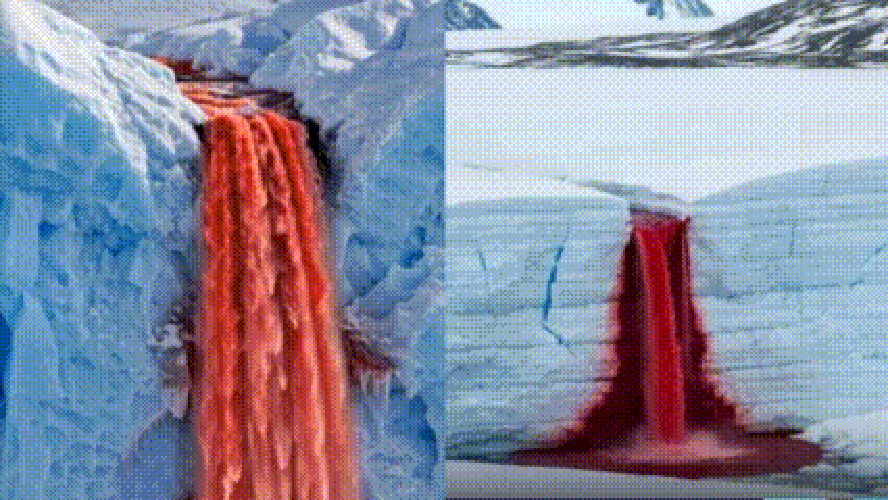 Montagem da cascata de sangue