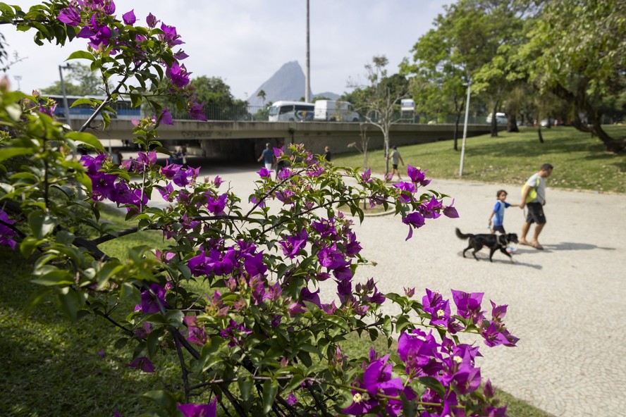 Primavera no Parque do Flamengo no Rio de Janeiro