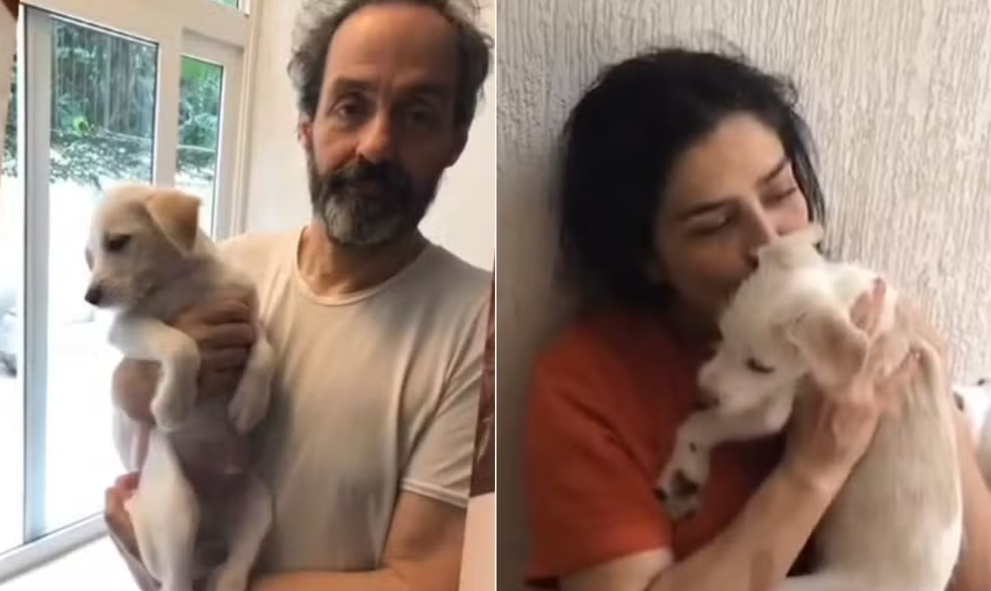 A novela de Bertholdo: Justiça mantém cachorro com Letícia Sabatella e Daniel Dantas
