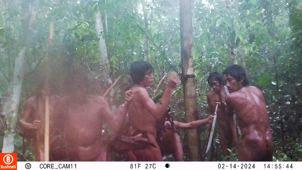 Indígenas que vivem em total isolamento voluntário, os massaco foram fotografados por meio de câmera automática enquanto recolhiam ferramentas deixadas pela Funai — Foto: Funai