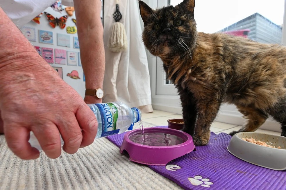 Millie só bebe água mineral Buxton — Foto: Redes sociais