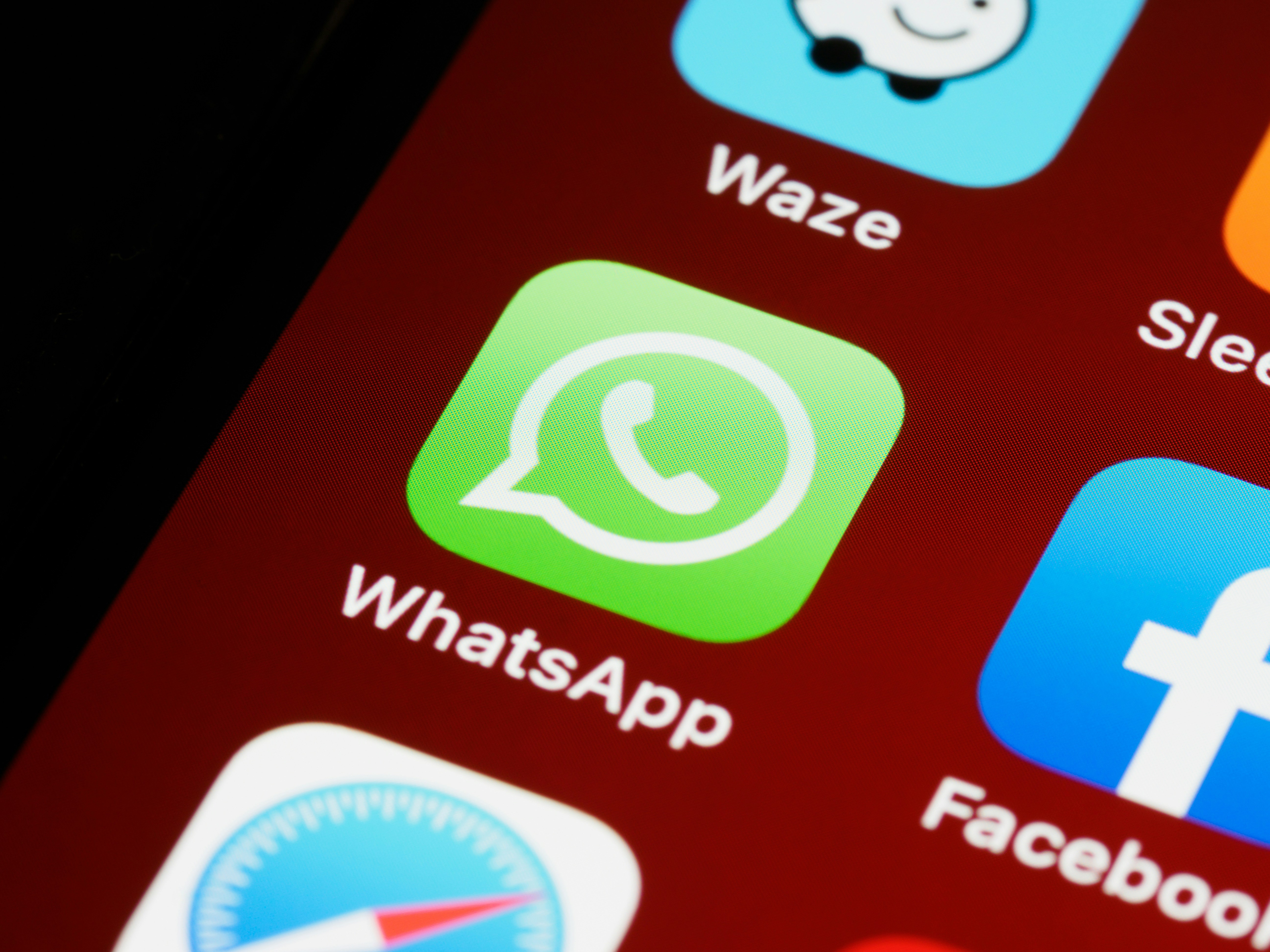 Em fala sobre eleição no Brasil, relatora da ONU cobra tribunais 'imparciais' e espaço virtual 'livre de interferências'