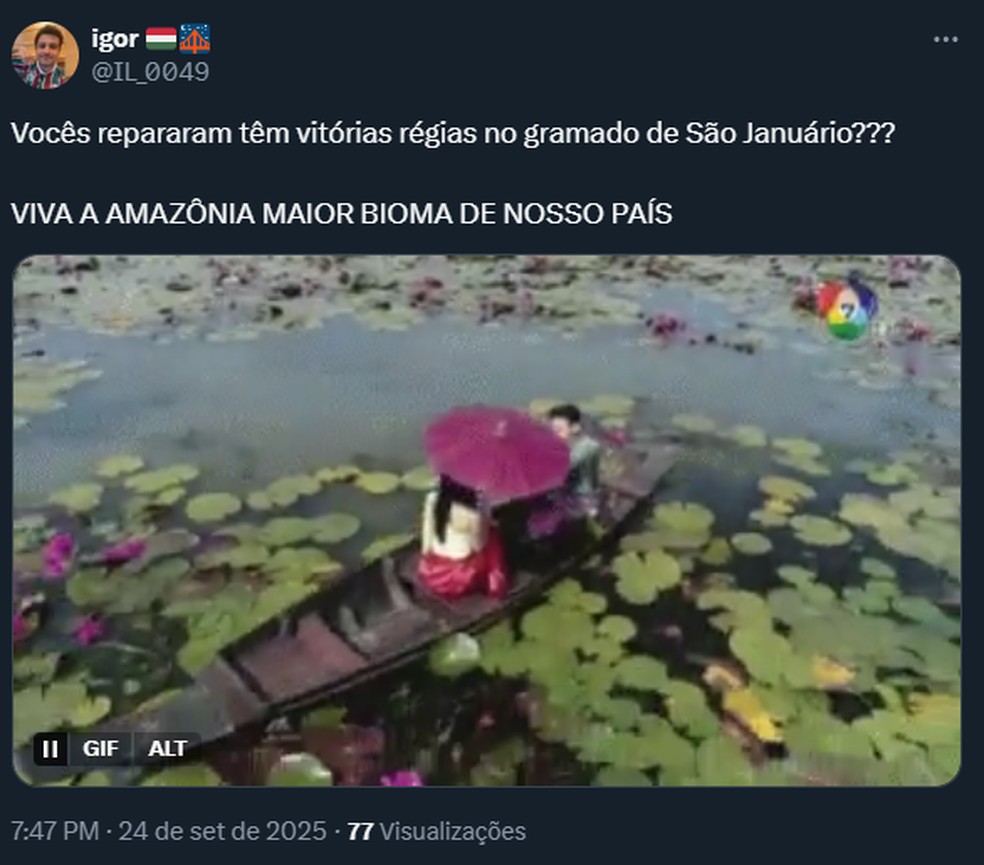 Manchas no gramado de São Januário rendem memes — Foto: Reprodução