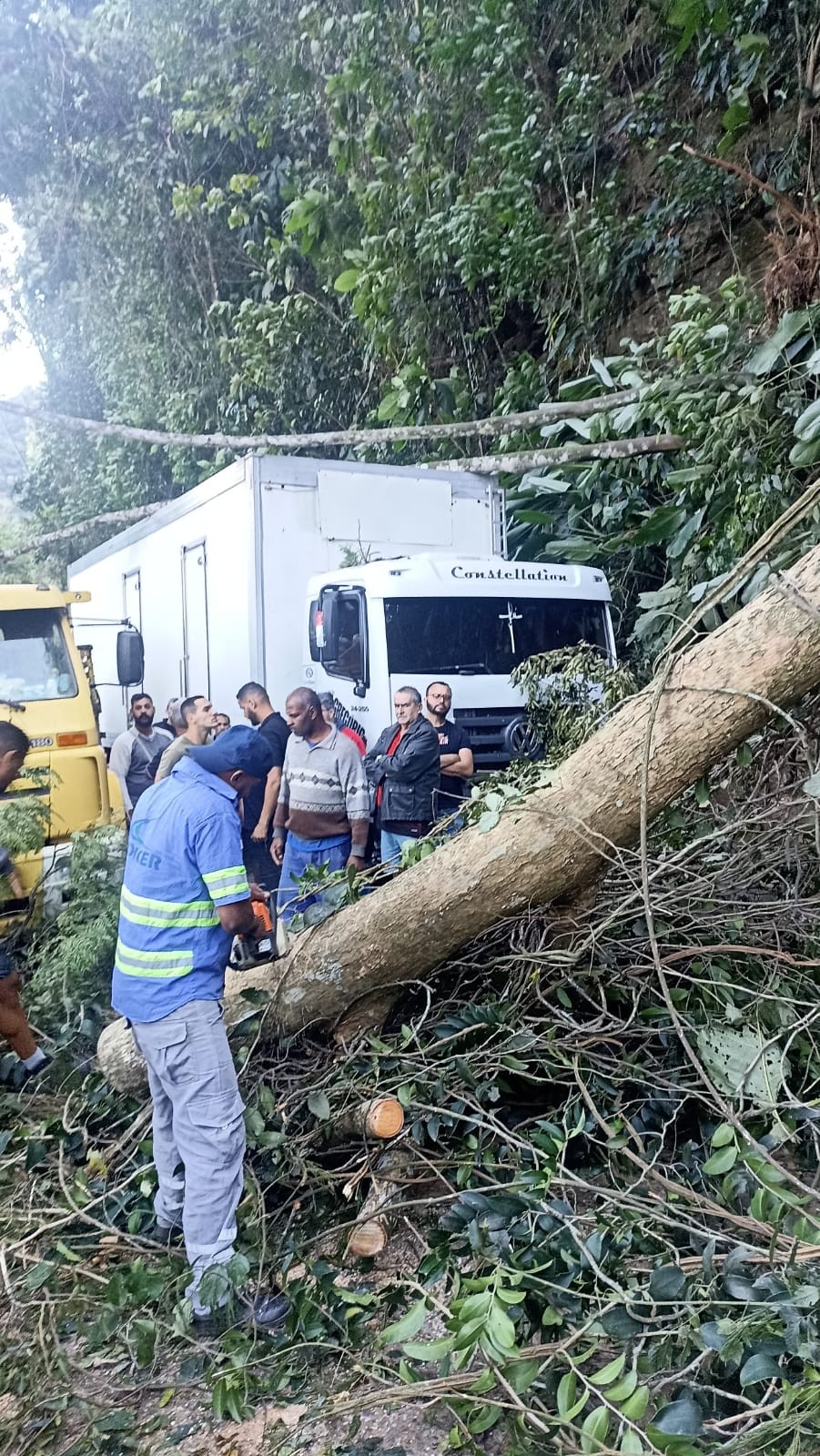 Vendaval derruba árvores e interdita totalmente subida da Serra de Petrópolis. — Foto: Divulgação PRF