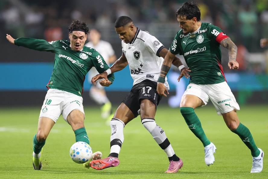 Palmeiras se impõe em casa, vence o Botafogo no Brasileiro e amplia ...