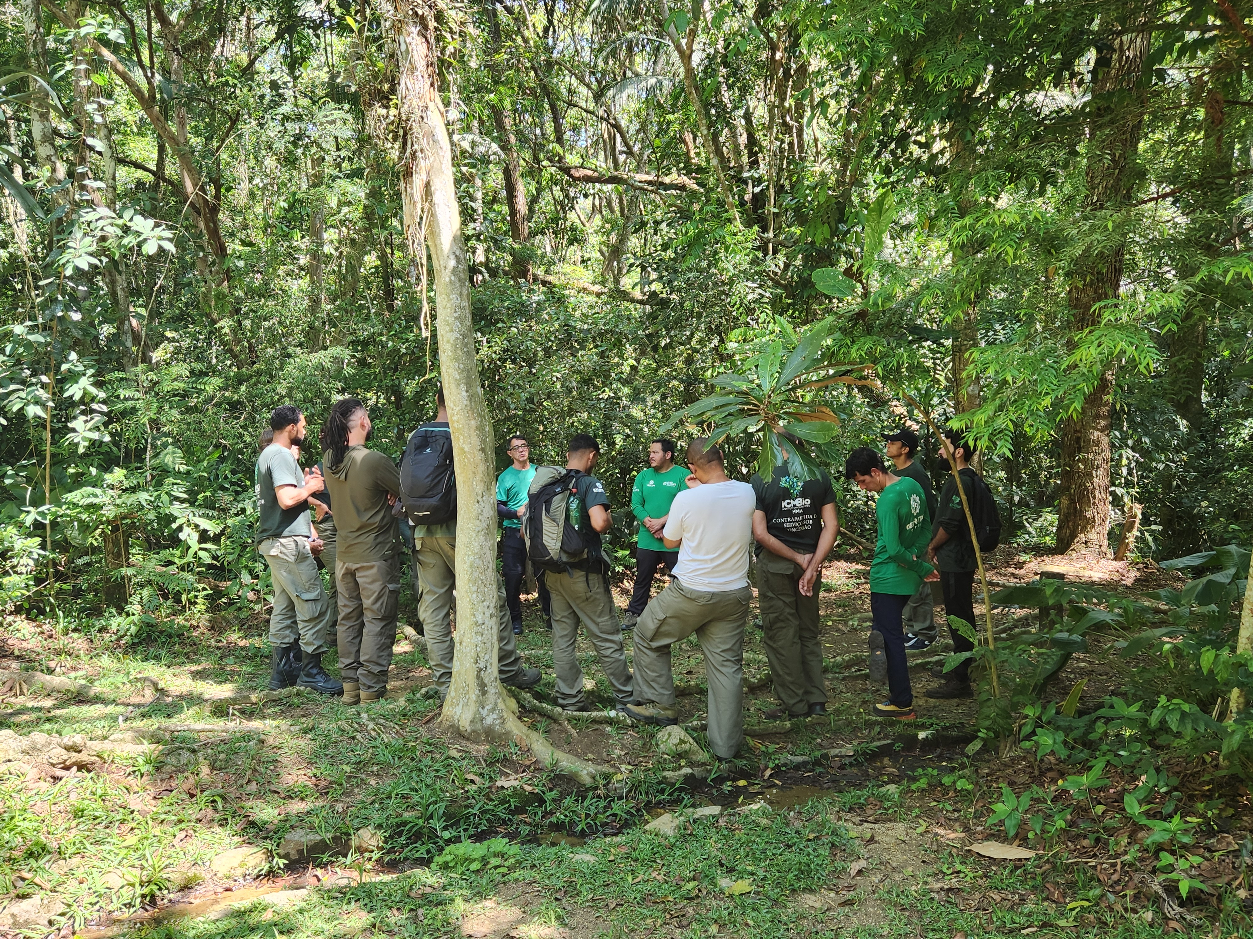 Com número recorde de visitantes, Parque Nacional da Tijuca amplia estrutura e ações educativas para garantir preservação ambiental