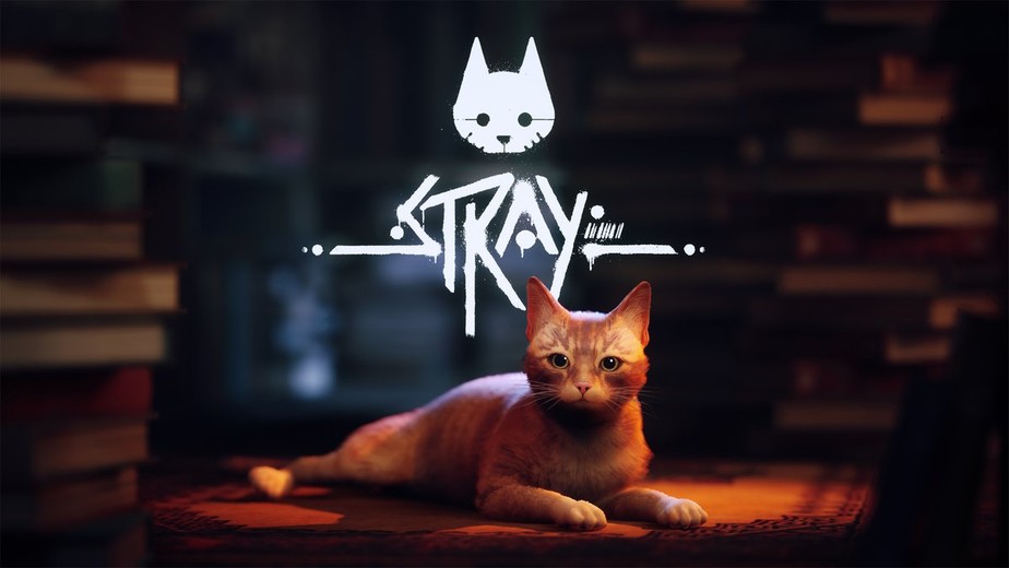 Campanha do jogo indie Stray, de gatinho, ajuda abrigos de animais - Drops  de Jogos