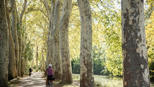 No sul da França, roteiro de bicicleta revela as belezas de um canal construído para ligar dois mares