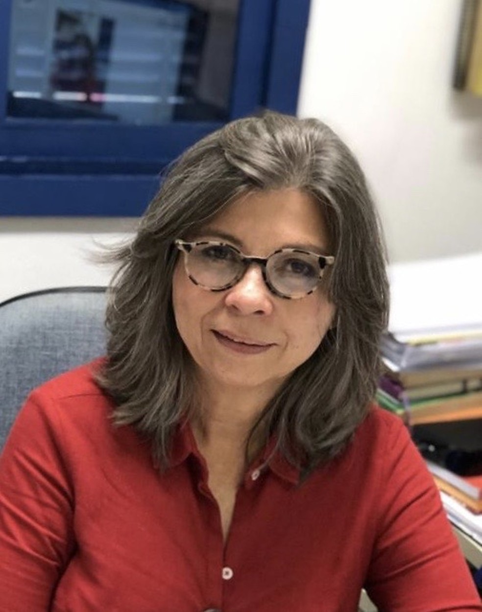 Socióloga e historiadora María Alice Rezende de Carvalho - Foto: Reveal