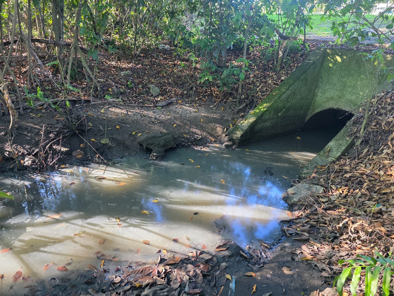 Líquido suspeito é despejado na Lagoa da Tijuca por meio de galeria pluvial - QTU Questões do Universo