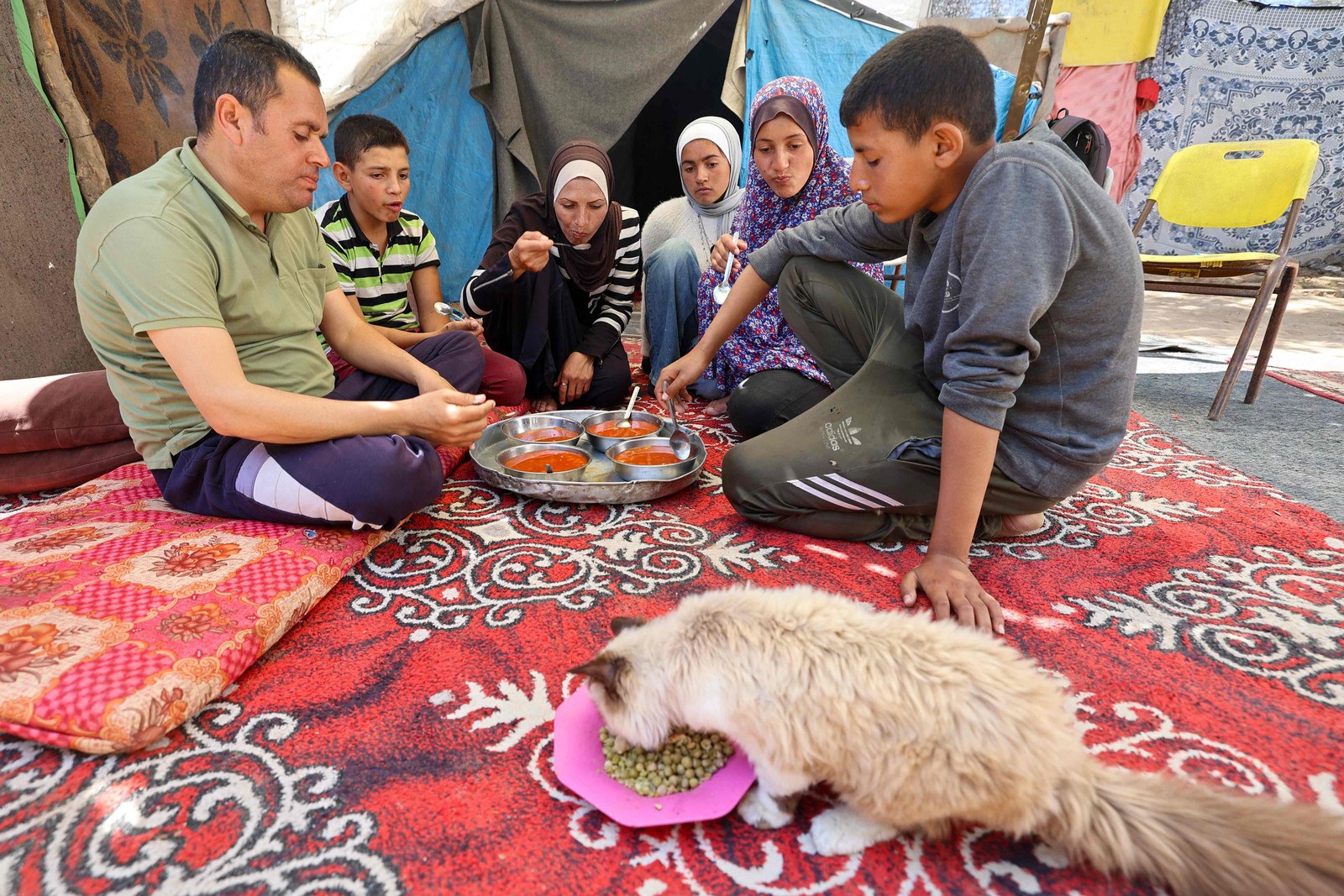 Depois que ocascoéremovido, Carneé desfiada, Fervida E Cozida com umis mistura de Cebola, Pimentão, Tomate e severos -foto -foto: Eyad Baba/eyad baba/afp
