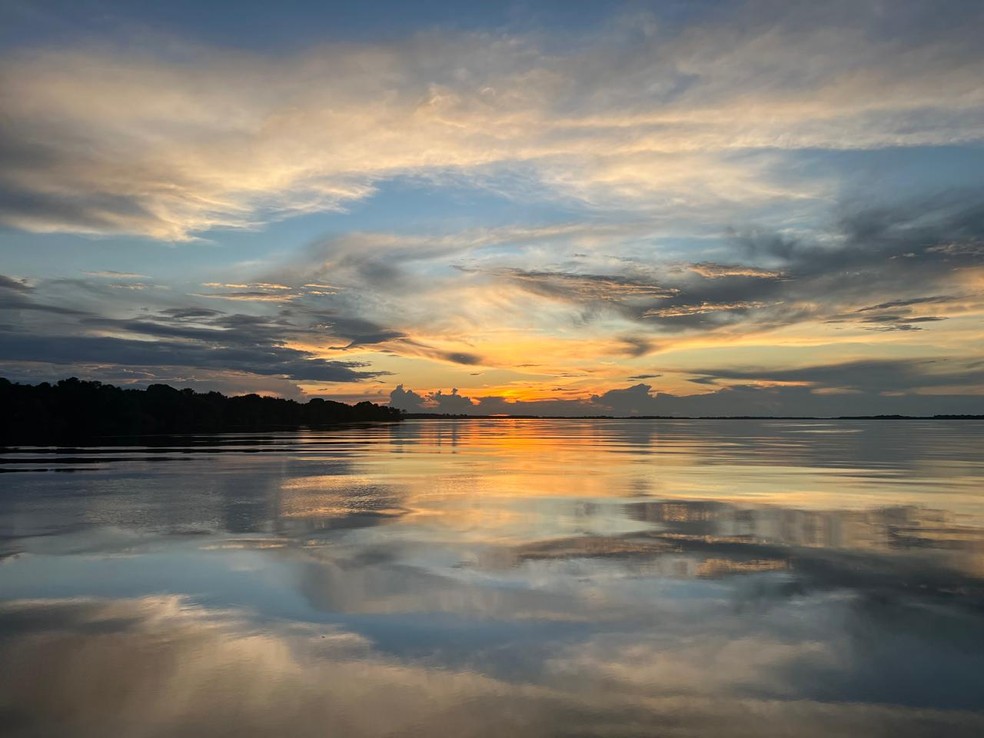 Foto feita por Drauzio Varella em uma de suas incursões pela Região Amazônica — Foto: Drauzio Varella
