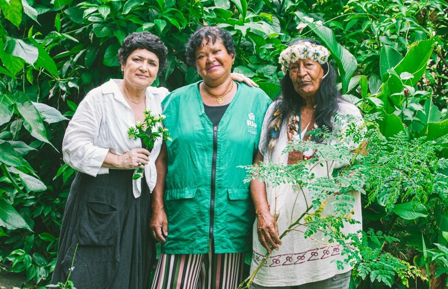 Mulheres que transformam comunidades da Zona Norte por meio da natureza ...