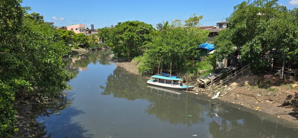 Urubus e lixo na "área de lazer" do Tucunduba no bairro de Terra Firme — Foto: Ana Lucia Azevedo
