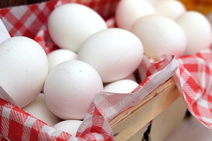 O ovo possui várias substâncias com efeito nootrópico