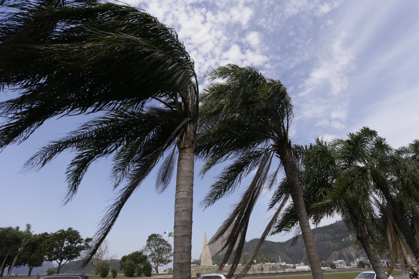Rio registra ventos fortes e queda de árvore no início do domingo; tempo é instável por todo o estado - Foto