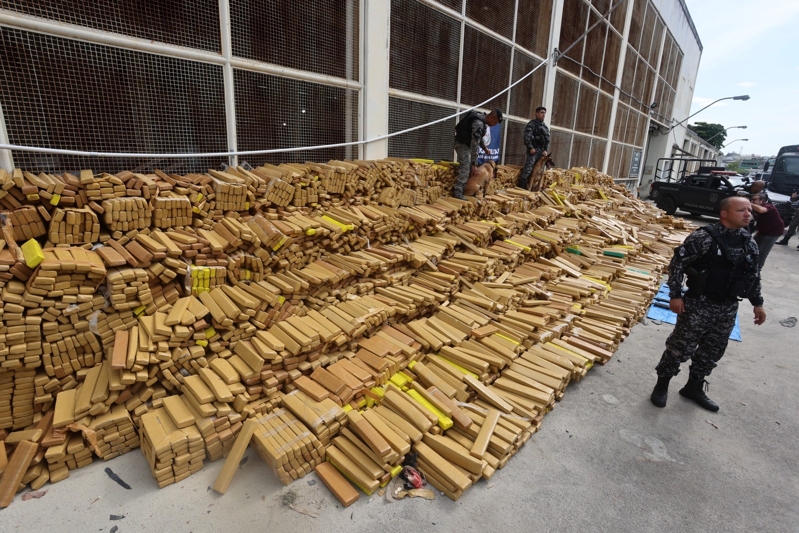 Quase 50 toneladas de maconha são encontradas em operação da PM na Maré com auxílio de cães farejadores — Foto: Fabiano Rocha / Agência O Globo