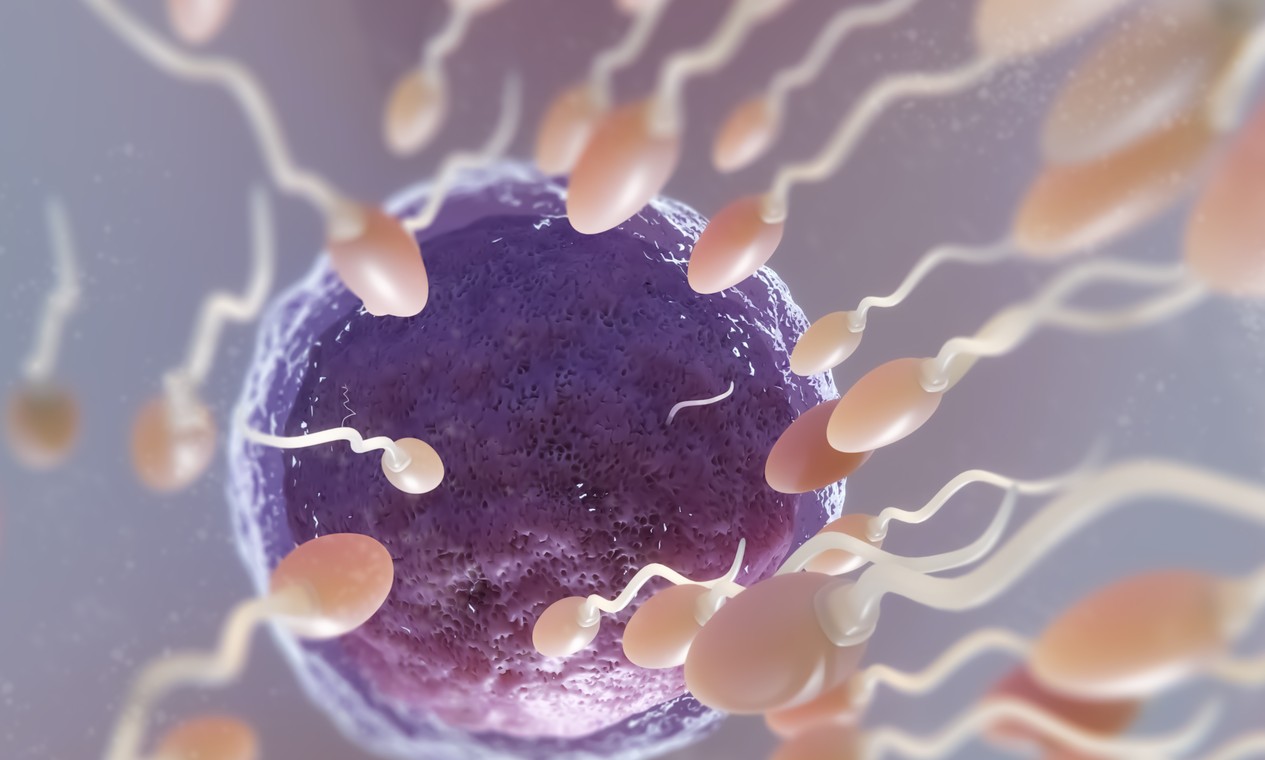 Infertilidade: quantidade de espermatozoides não diminui, mas sua mobilidade sim