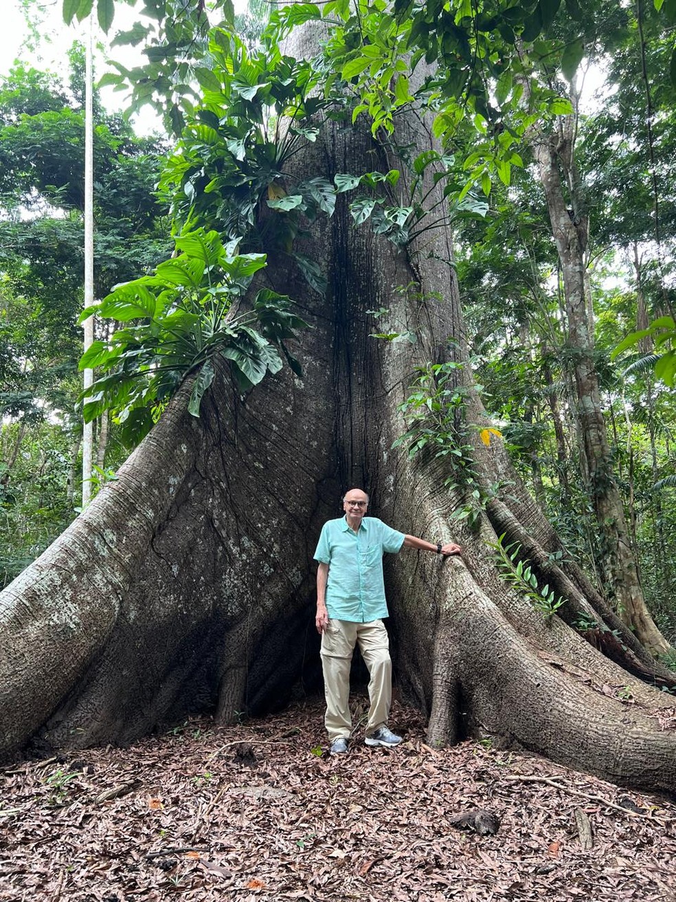 O médico Drauzio Varella ao pé de uma sumaúma amazônica — Foto: Acervo pessoal