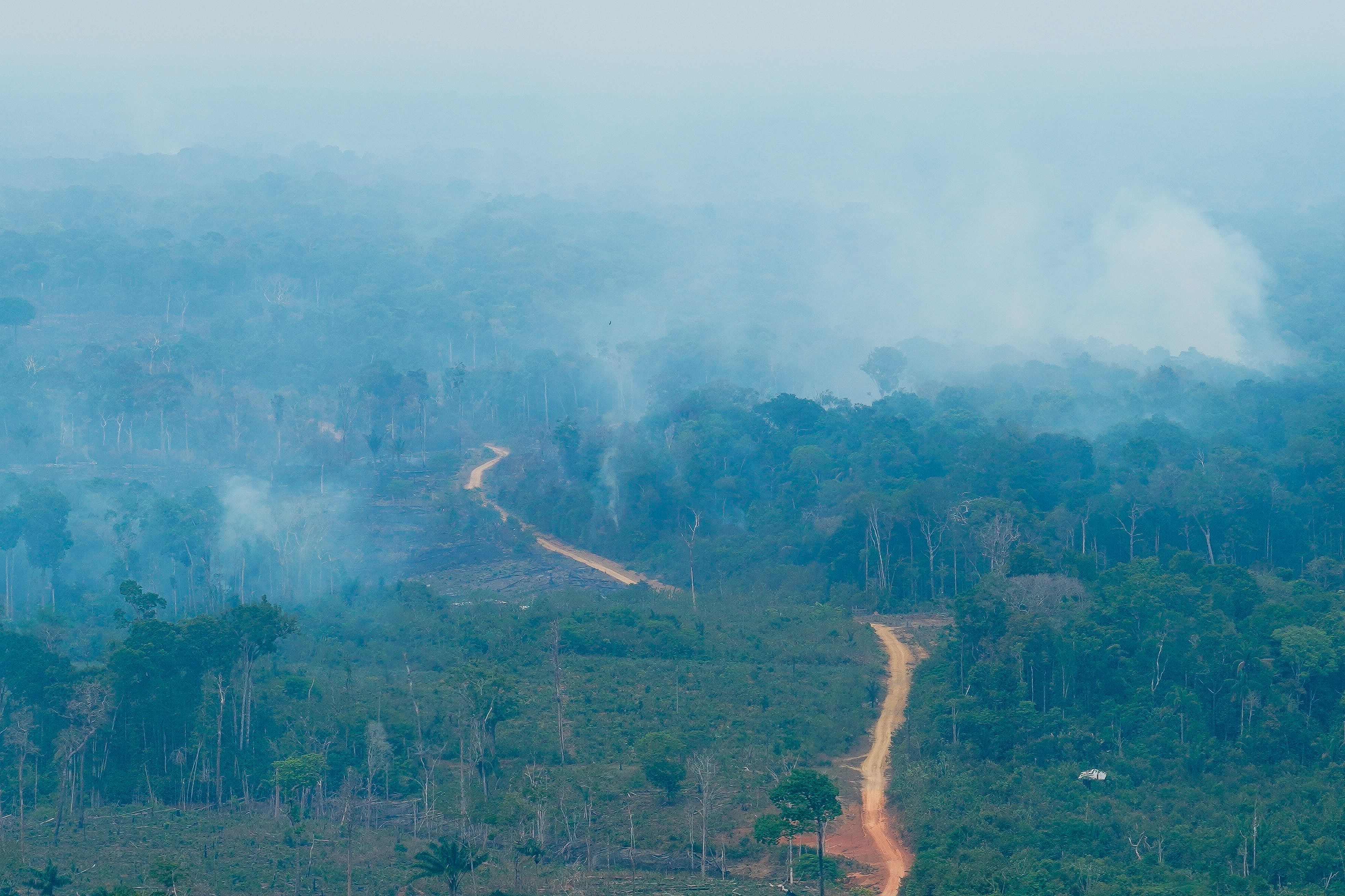 O caminho da fumaça: veja as rotas de ventos que transportaram fuligem das queimadas do Pará e do Amazonas até Manaus