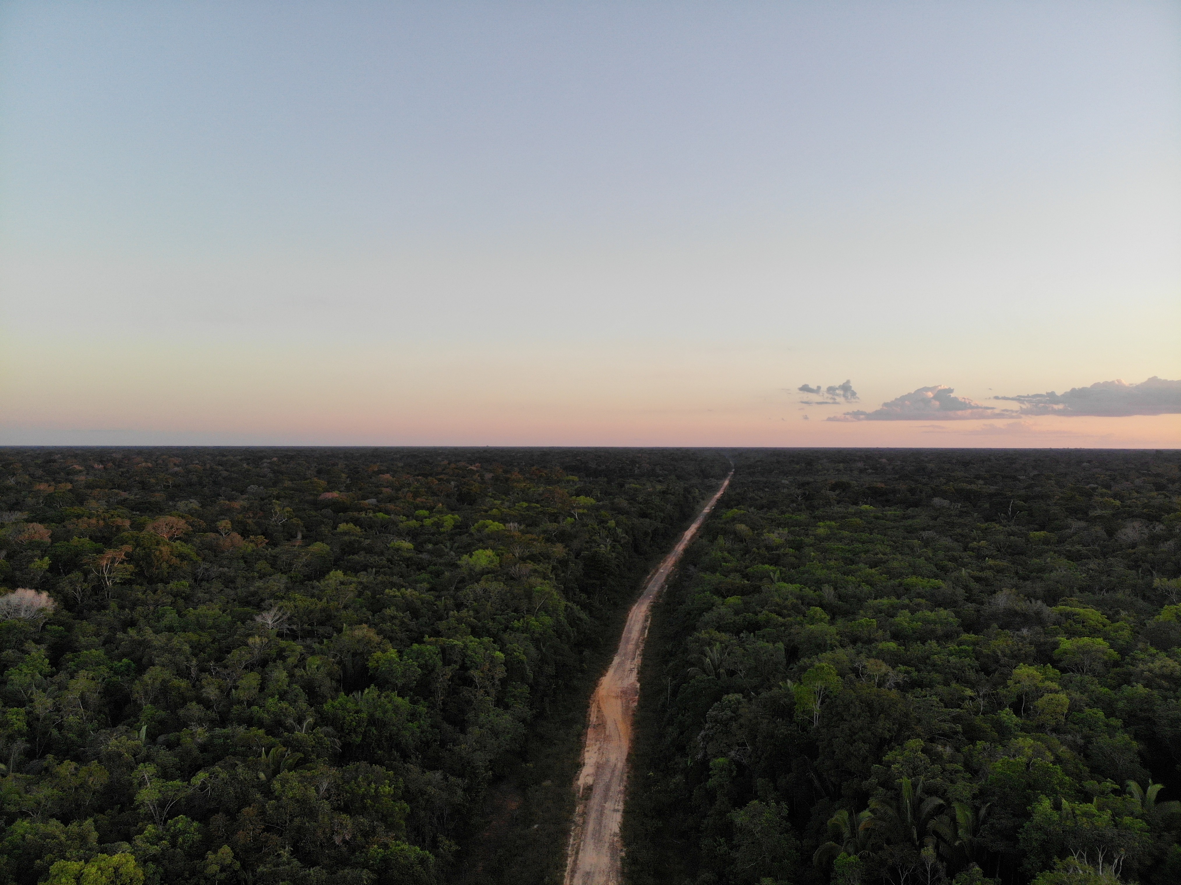 BR-319: justiça volta a autorizar licença prévia para asfaltamento da rodovia no coração da Amazônia