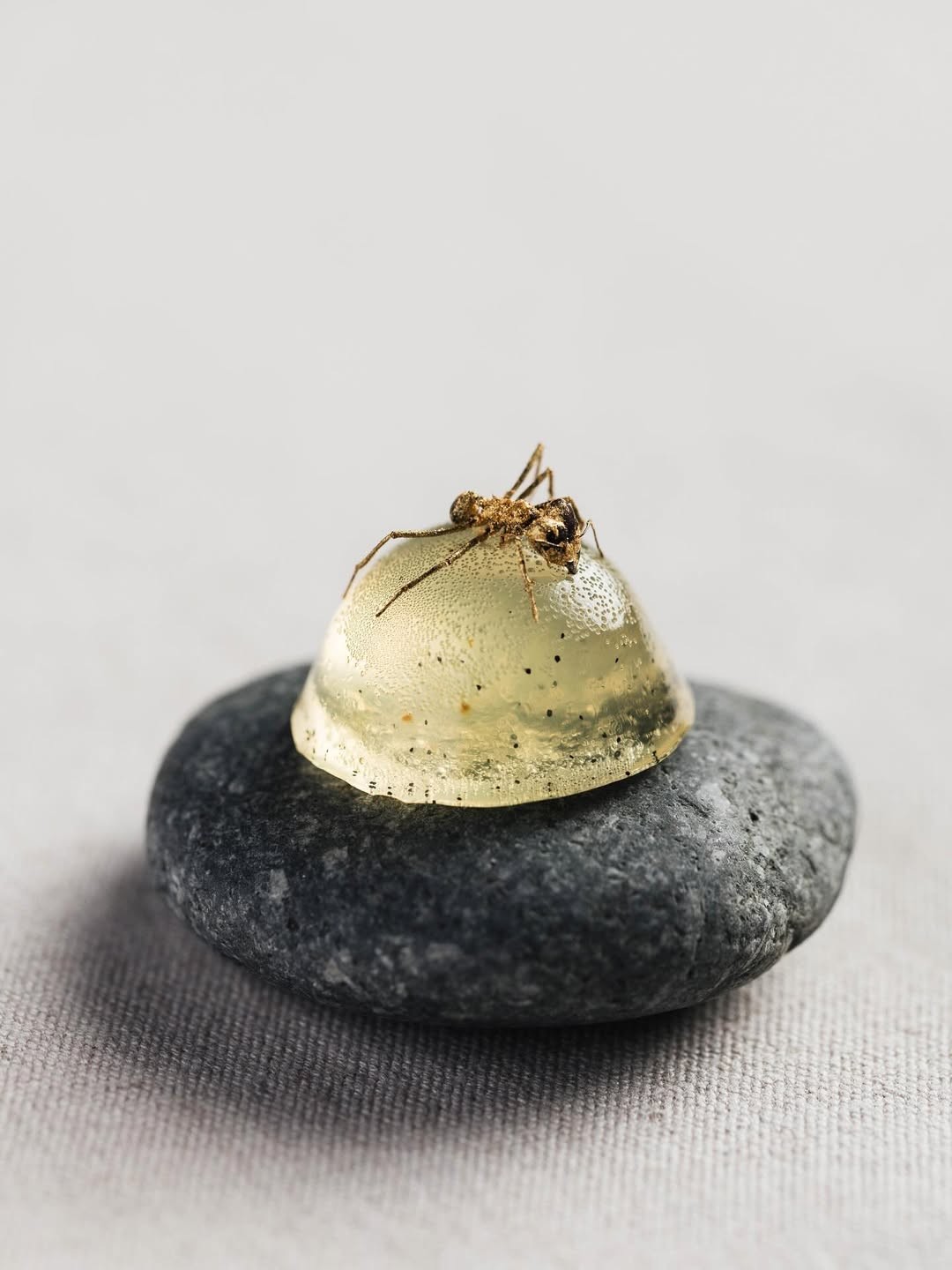 DOM, by Chef Alex Atala, 74th place: Pineapple and vanilla dessert with sava ants - Photo: Reproduction / Instagram